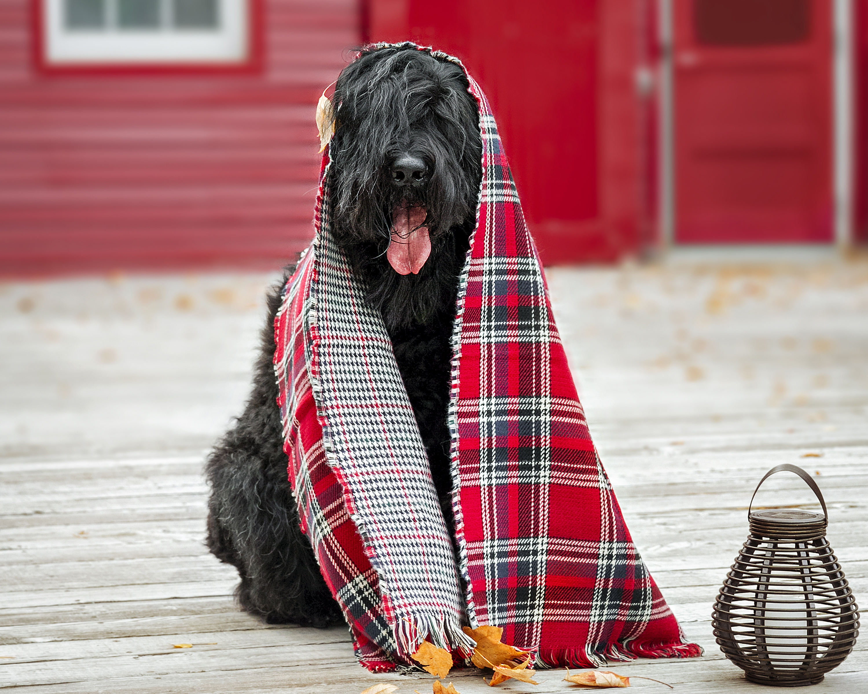 Slideshow sample 17